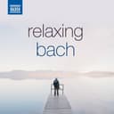 Orchestral Suite No. 3 in D Major, BWV 1068: Air ("On a G String")